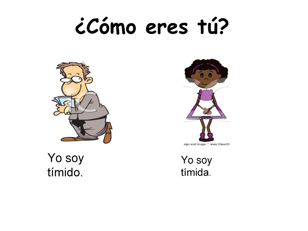 ¿Cómo eres tú Yo soy tímido. Yo soy tímida. *