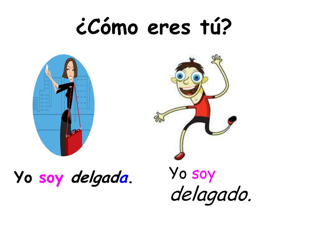 ¿Cómo eres tú Yo soy delagado. Yo soy delgada. *