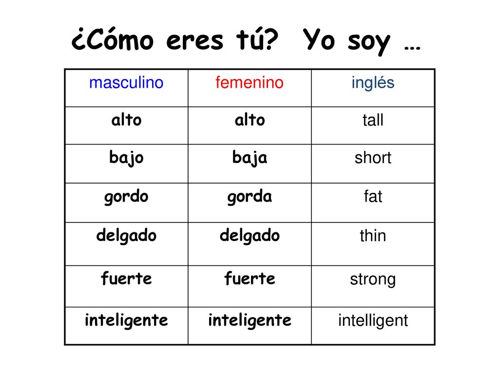 ¿Cómo eres tú Yo soy … masculino femenino inglés alto tall bajo baja