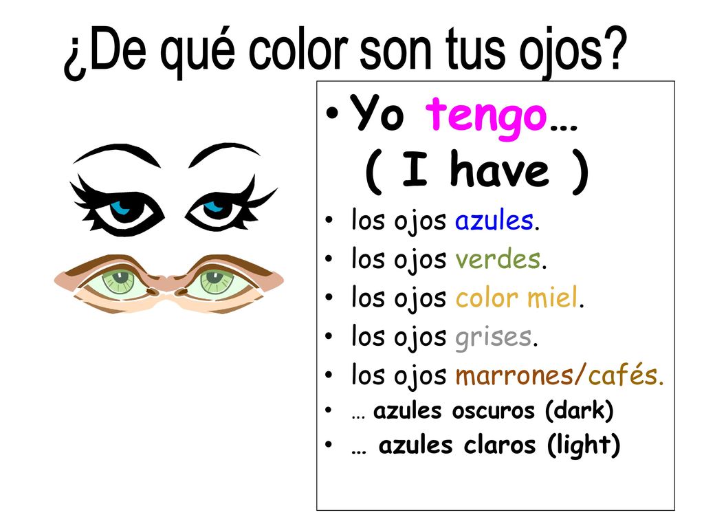 Yo tengo… ( I have ) los ojos azules. los ojos verdes.