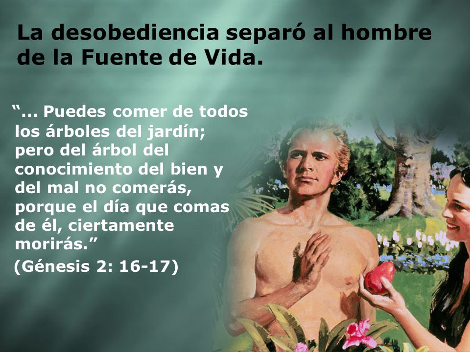 La desobediencia separó al hombre de la Fuente de Vida.