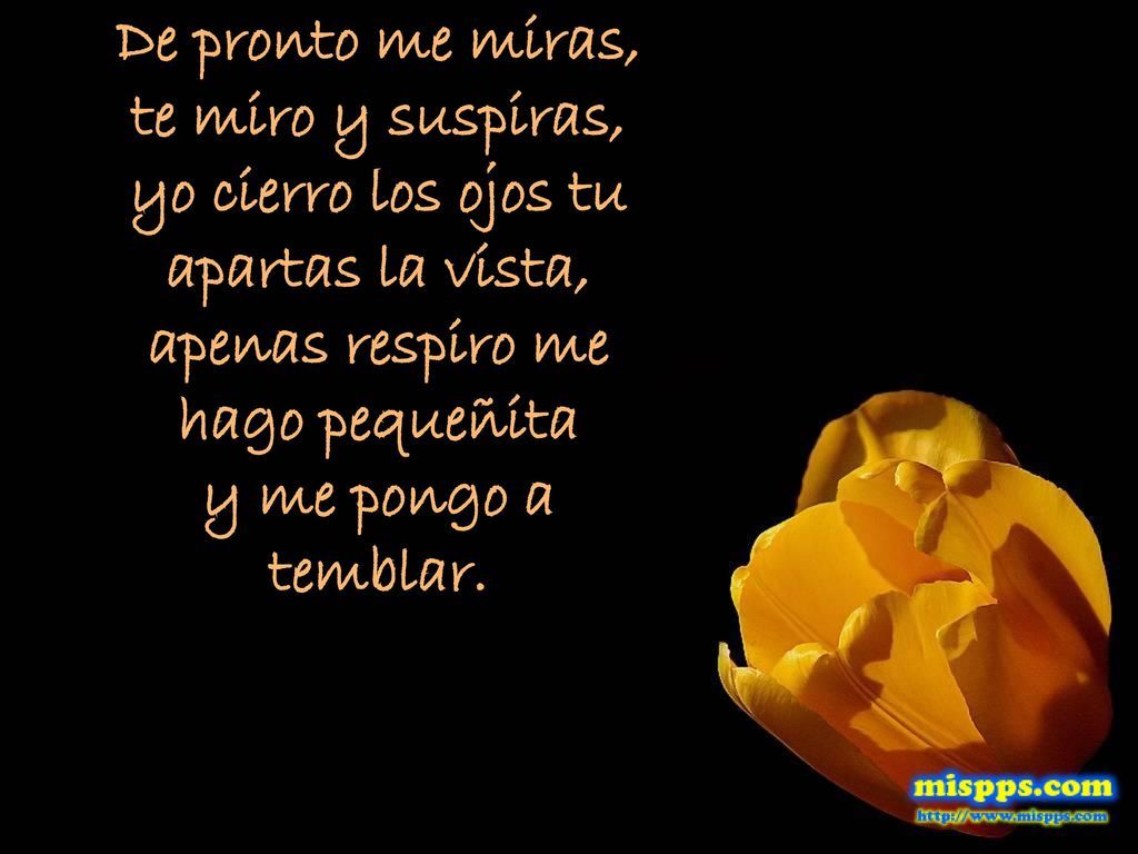 De pronto me miras, te miro y suspiras, yo cierro los ojos tu apartas la vista, apenas respiro me hago pequeñita y me pongo a temblar.