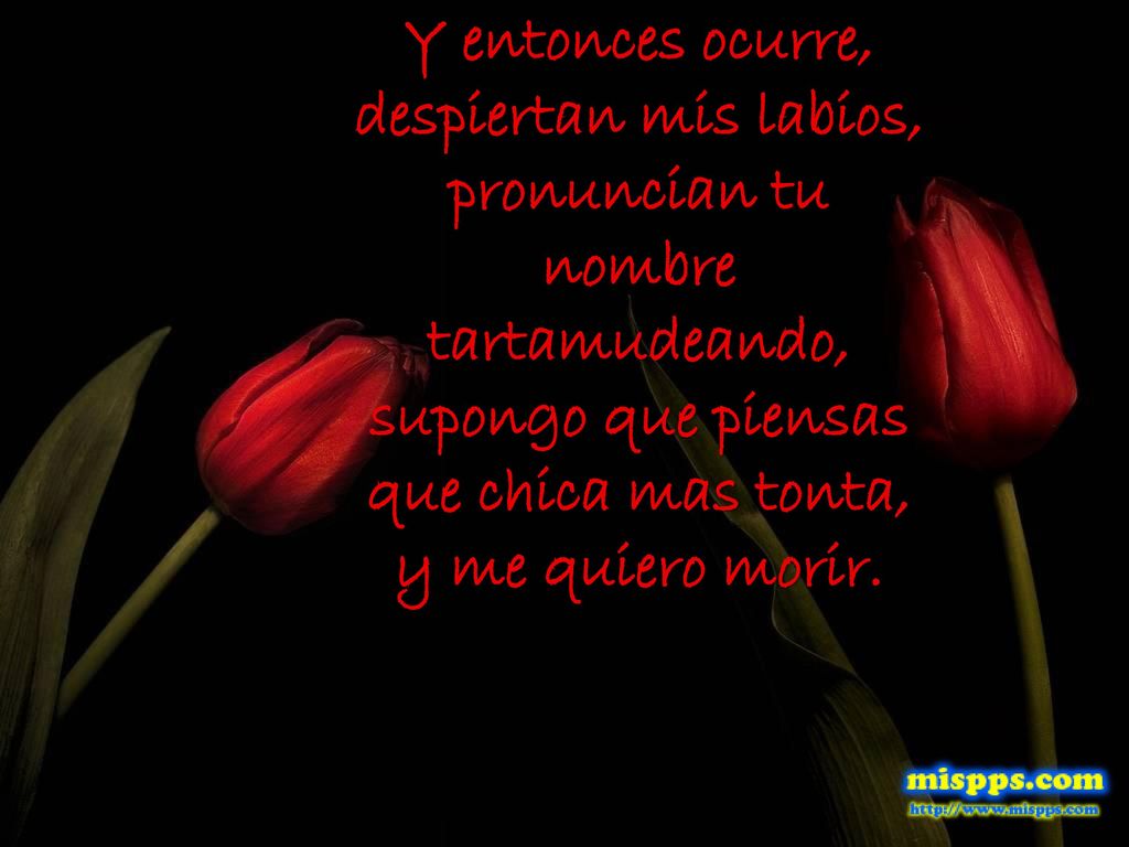 Y entonces ocurre, despiertan mis labios, pronuncian tu nombre tartamudeando, supongo que piensas que chica mas tonta, y me quiero morir.