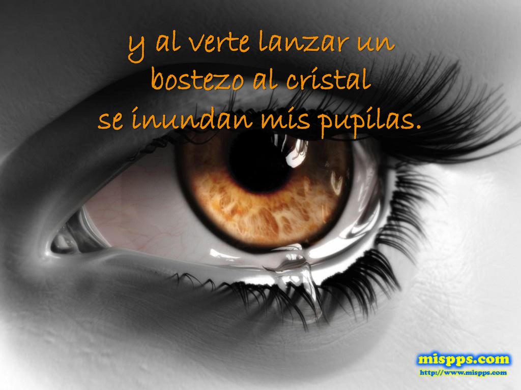 y al verte lanzar un bostezo al cristal se inundan mis pupilas.