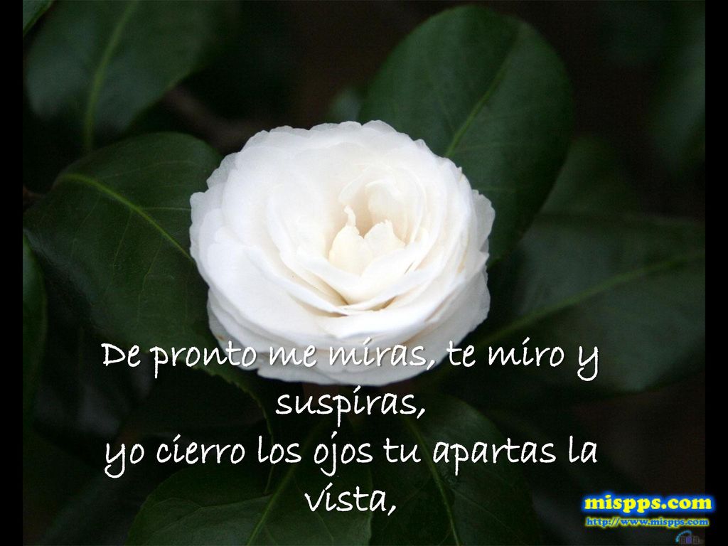 De pronto me miras, te miro y suspiras, yo cierro los ojos tu apartas la vista,