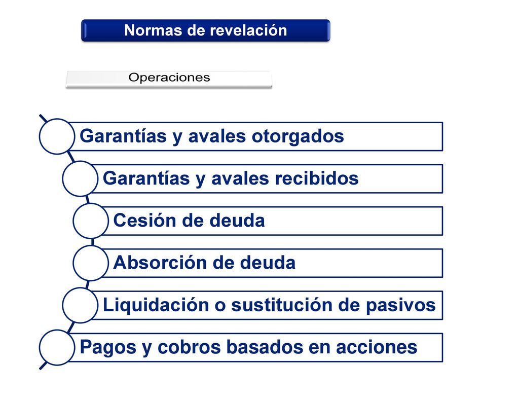 Normas de revelación Operaciones Garantías y avales otorgados