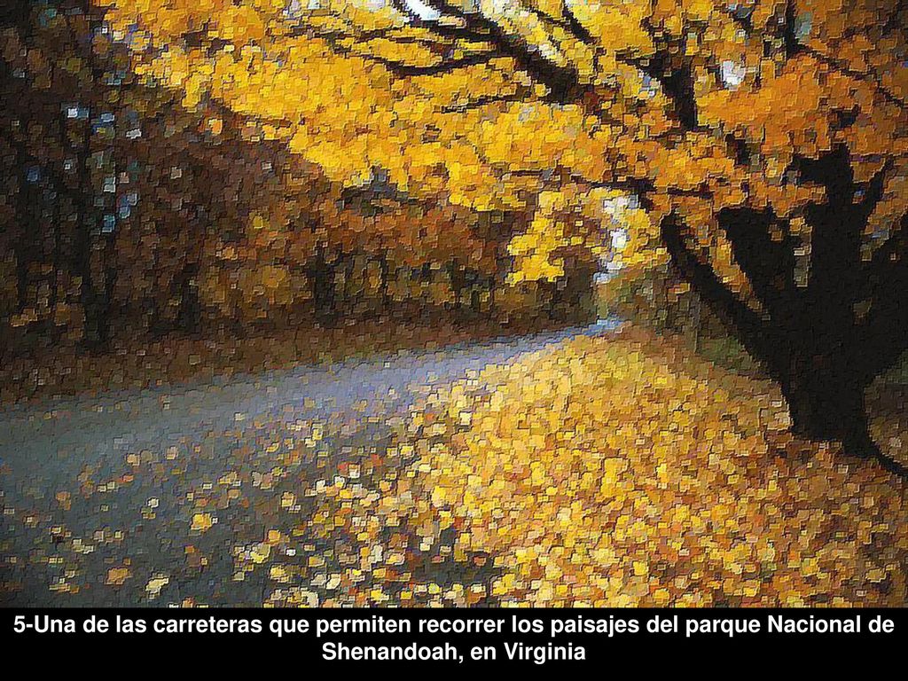 5-Una de las carreteras que permiten recorrer los paisajes del parque Nacional de Shenandoah, en Virginia