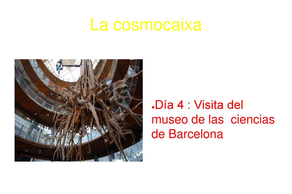 La cosmocaixa Día 4 : Visita del museo de las ciencias de Barcelona