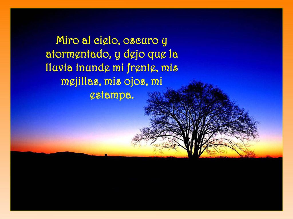 Miro al cielo, oscuro y atormentado, y dejo que la lluvia inunde mi frente, mis mejillas, mis ojos, mi estampa.