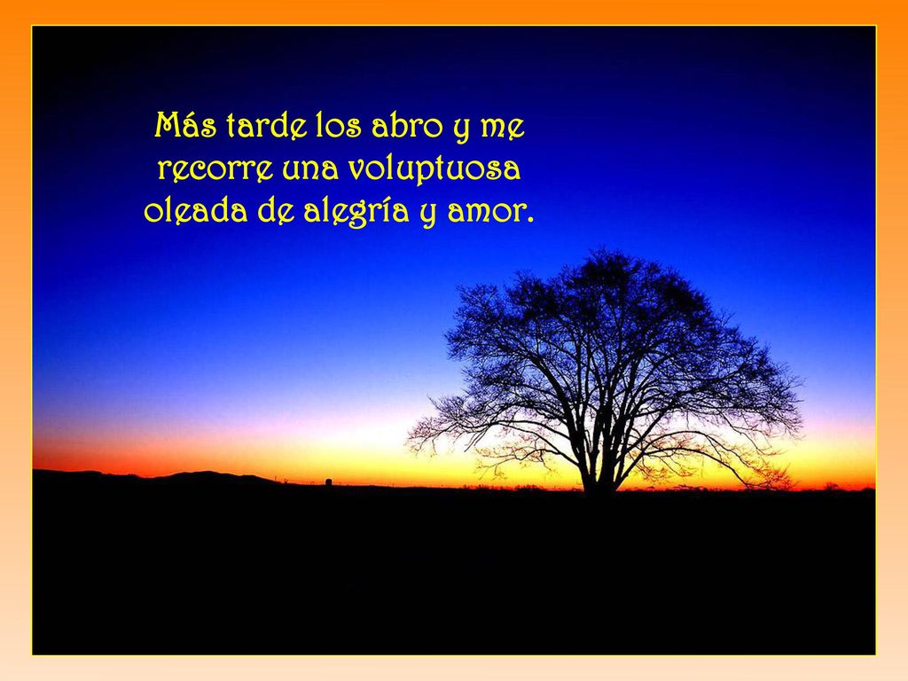 Más tarde los abro y me recorre una voluptuosa oleada de alegría y amor.