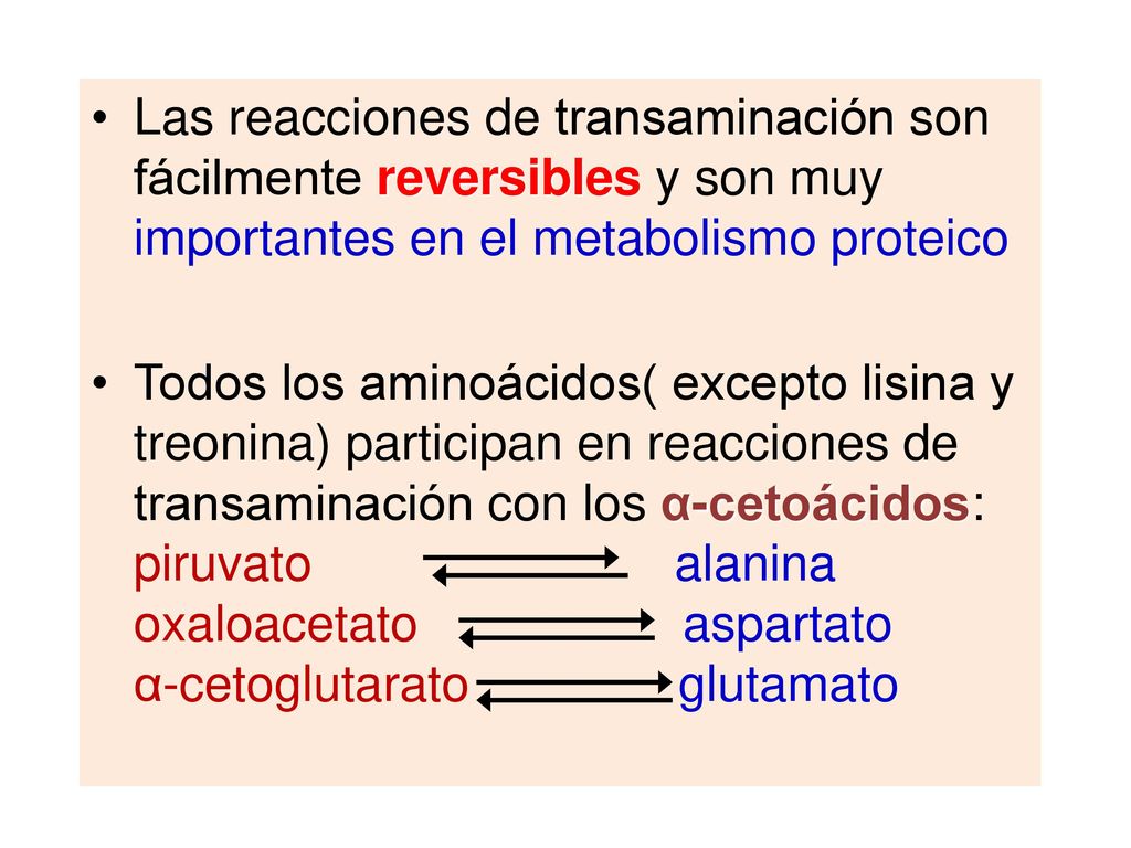 Las reacciones de transaminación son fácilmente reversibles y son muy importantes en el metabolismo proteico