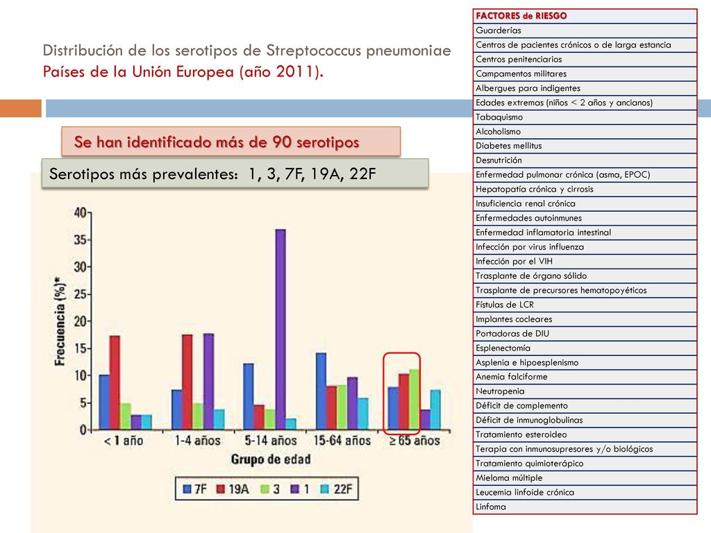 Se han identificado más de 90 serotipos