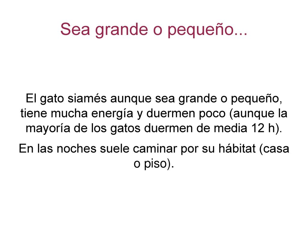 En las noches suele caminar por su hábitat (casa o piso).