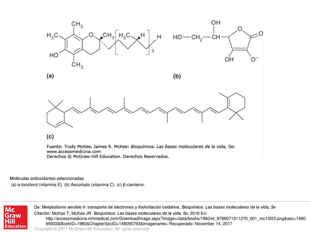 (a) α-tocoferol (vitamina E). (b) Ascorbato (vitamina C)