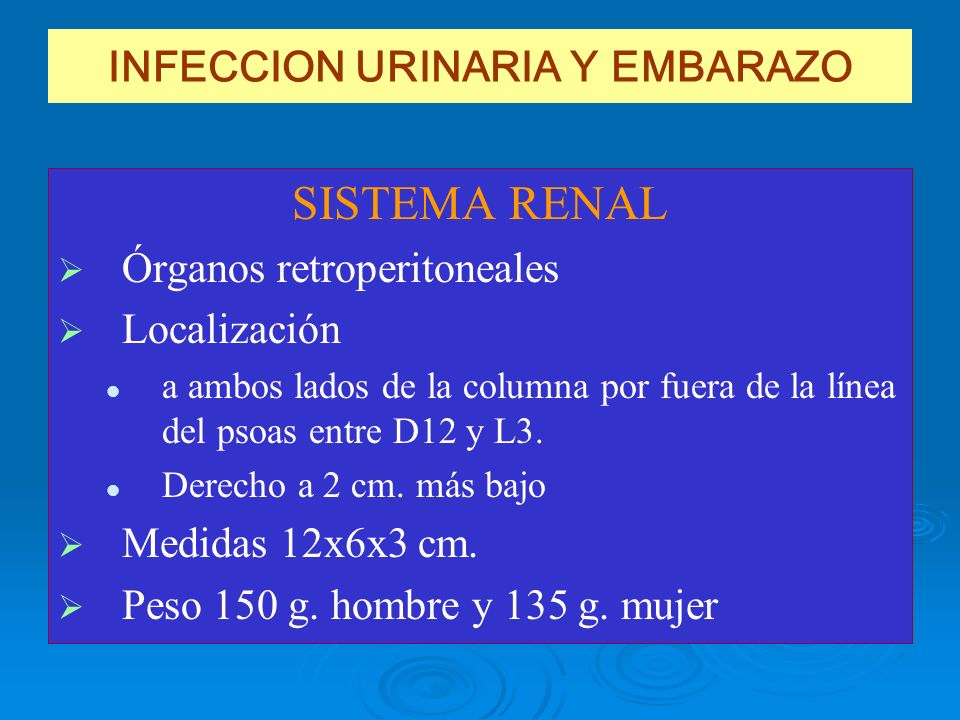 INFECCION URINARIA Y EMBARAZO