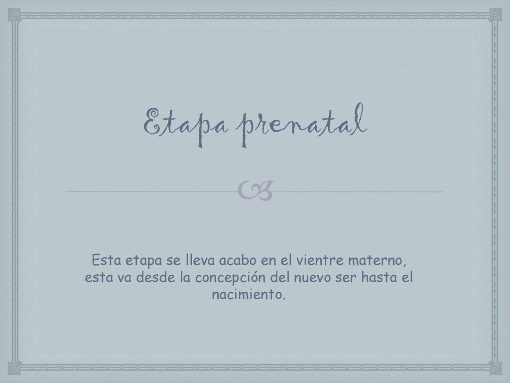 Etapa prenatal Esta etapa se lleva acabo en el vientre materno, esta va desde la concepción del nuevo ser hasta el nacimiento.