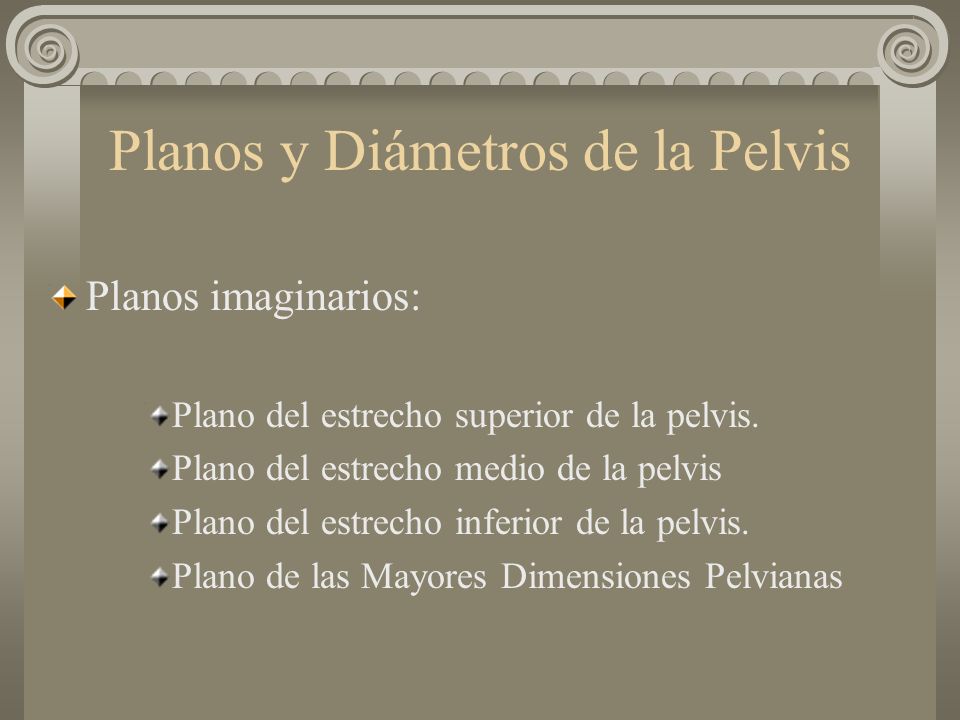 Planos y Diámetros de la Pelvis