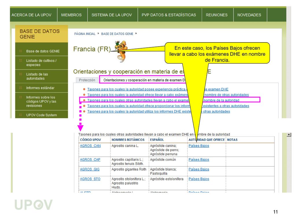 En este caso, los Países Bajos ofrecen llevar a cabo los exámenes DHE en nombre de Francia.