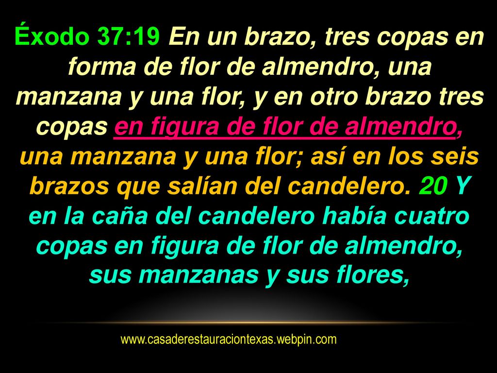 Éxodo 37:19 En un brazo, tres copas en forma de flor de almendro, una manzana y una flor, y en otro brazo tres copas en figura de flor de almendro, una manzana y una flor; así en los seis brazos que salían del candelero. 20 Y en la caña del candelero había cuatro copas en figura de flor de almendro, sus manzanas y sus flores,