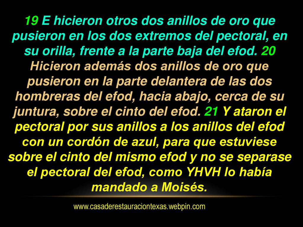 19 E hicieron otros dos anillos de oro que pusieron en los dos extremos del pectoral, en su orilla, frente a la parte baja del efod. 20 Hicieron además dos anillos de oro que pusieron en la parte delantera de las dos hombreras del efod, hacia abajo, cerca de su juntura, sobre el cinto del efod. 21 Y ataron el pectoral por sus anillos a los anillos del efod con un cordón de azul, para que estuviese sobre el cinto del mismo efod y no se separase el pectoral del efod, como YHVH lo había mandado a Moisés.