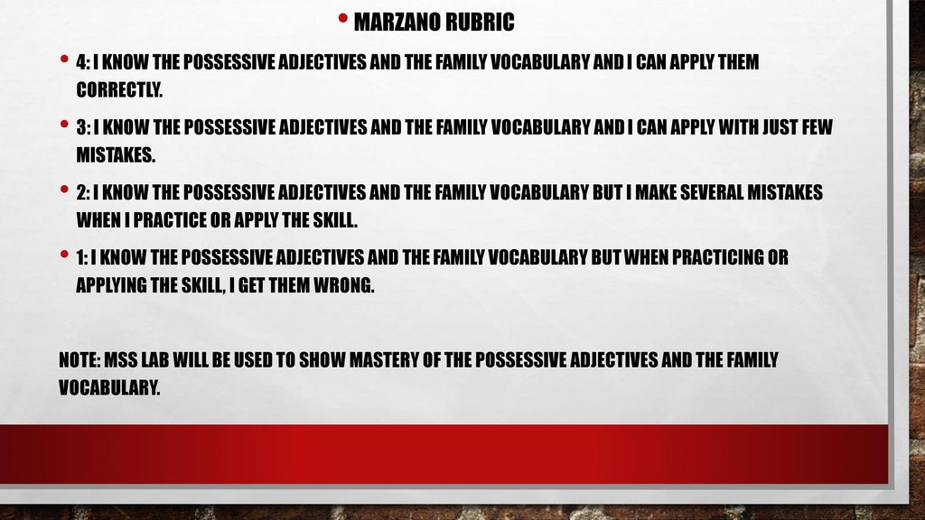 Marzano Rubric 4: I know the possessive adjectives and the family vocabulary and I can apply them correctly.
