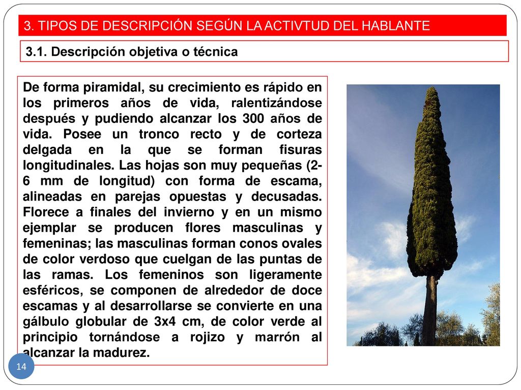 3. TIPOS DE DESCRIPCIÓN SEGÚN LA ACTIVTUD DEL HABLANTE