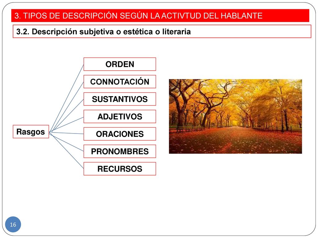 3. TIPOS DE DESCRIPCIÓN SEGÚN LA ACTIVTUD DEL HABLANTE