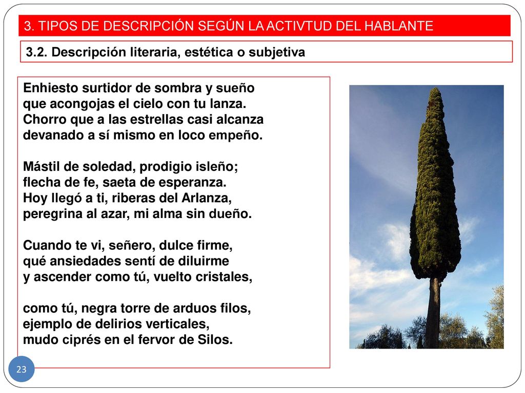 3. TIPOS DE DESCRIPCIÓN SEGÚN LA ACTIVTUD DEL HABLANTE