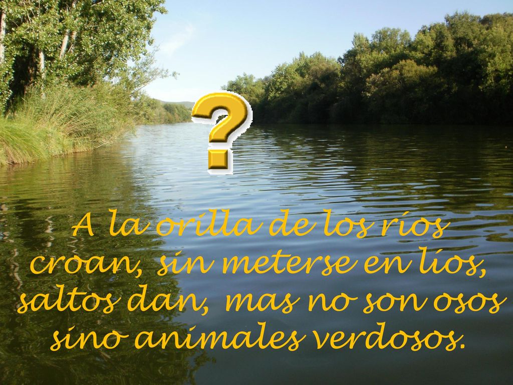 croan, sin meterse en líos, saltos dan, mas no son osos