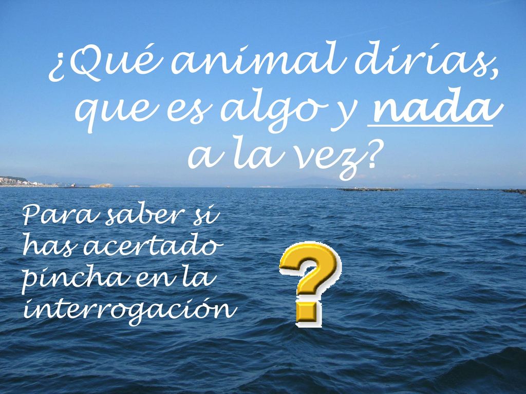 ¿Qué animal dirías, que es algo y nada a la vez