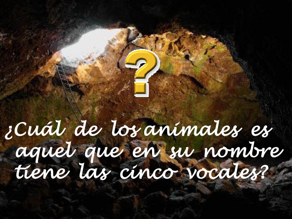 ¿Cuál de los animales es aquel que en su nombre tiene las cinco vocales