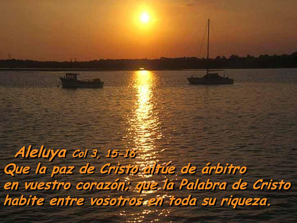 Aleluya Col 3, Que la paz de Cristo altúe de árbitro en vuestro corazón; que la Palabra de Cristo habite entre vosotros en toda su riqueza.