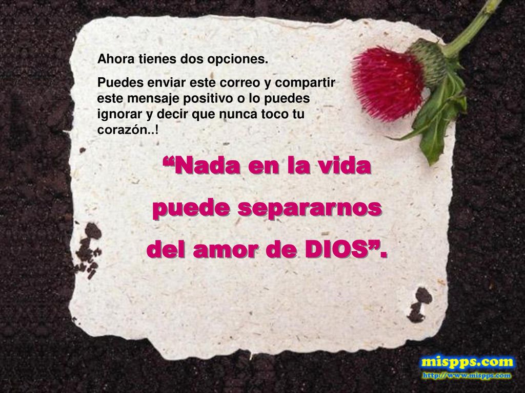 Nada en la vida puede separarnos del amor de DIOS .