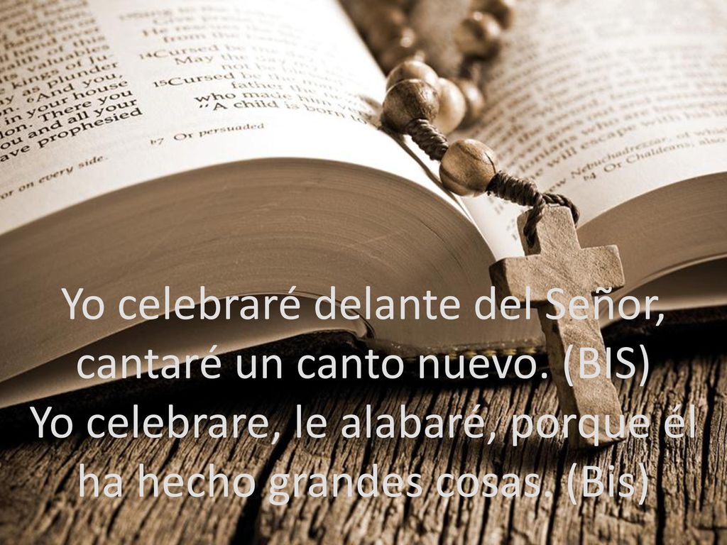 Yo celebraré delante del Señor, cantaré un canto nuevo. (BIS)