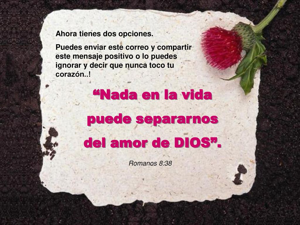 Nada en la vida puede separarnos del amor de DIOS .