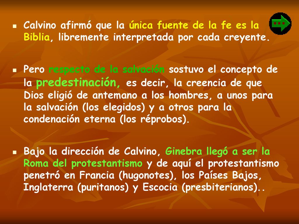 Calvino afirmó que la única fuente de la fe es la Biblia, libremente interpretada por cada creyente.