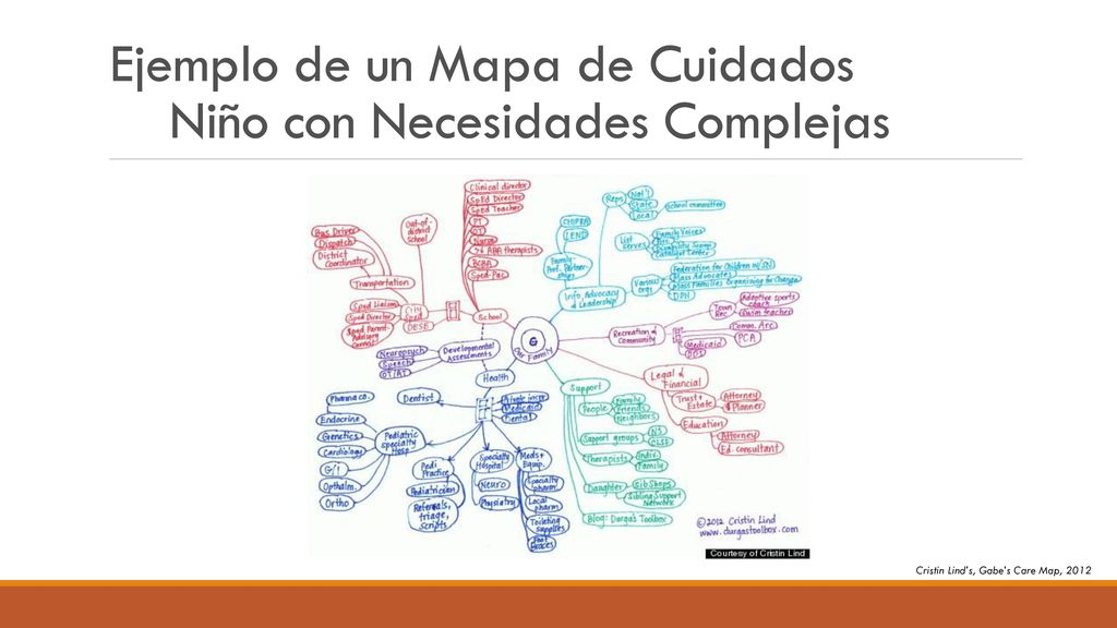 Ejemplo de un Mapa de Cuidados Niño con Necesidades Complejas