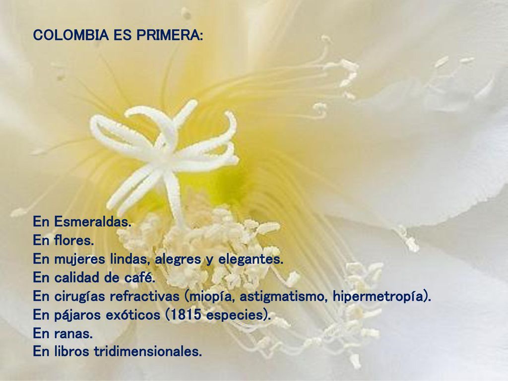 COLOMBIA ES PRIMERA: En Esmeraldas. En flores. En mujeres lindas, alegres y elegantes. En calidad de café.