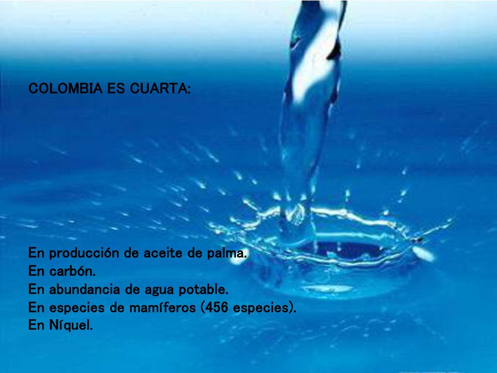 COLOMBIA ES CUARTA: En producción de aceite de palma. En carbón. En abundancia de agua potable. En especies de mamíferos (456 especies).