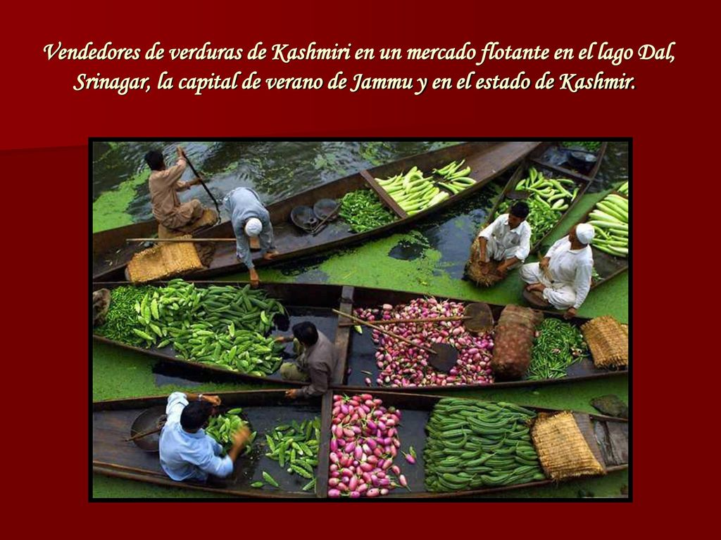 Vendedores de verduras de Kashmiri en un mercado flotante en el lago Dal, Srinagar, la capital de verano de Jammu y en el estado de Kashmir.