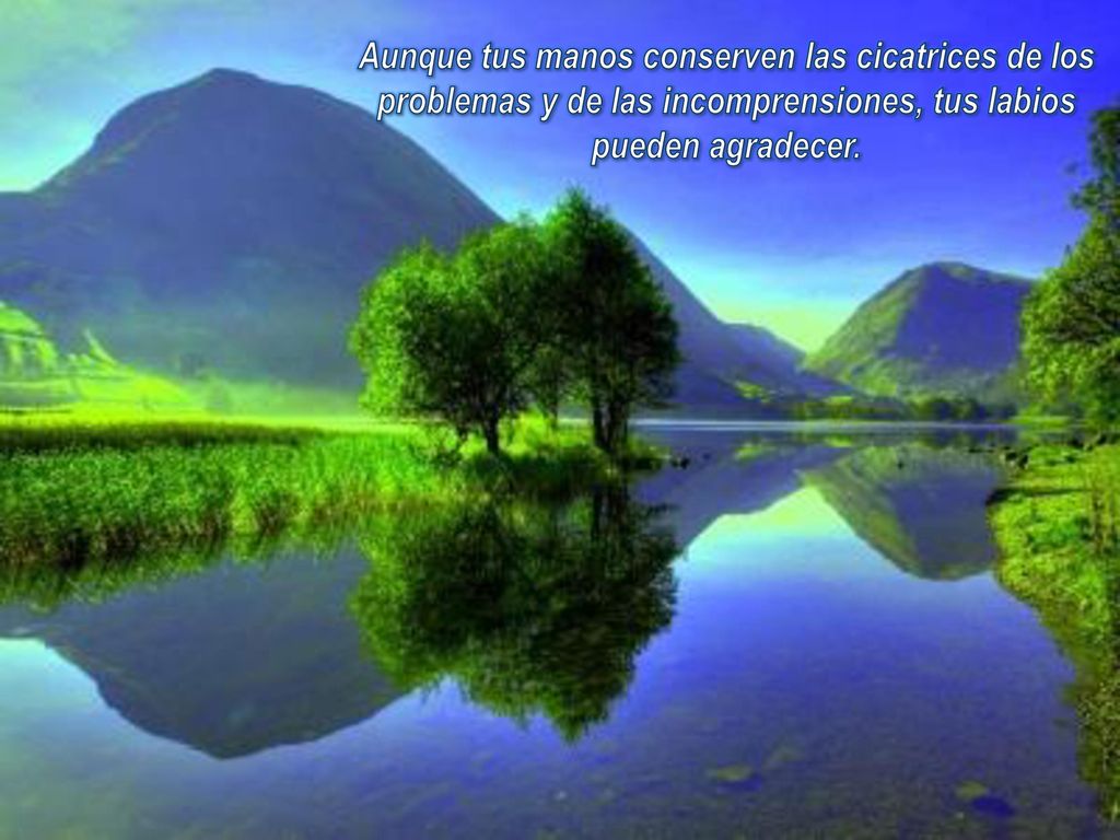 Aunque tus manos conserven las cicatrices de los problemas y de las incomprensiones, tus labios pueden agradecer.