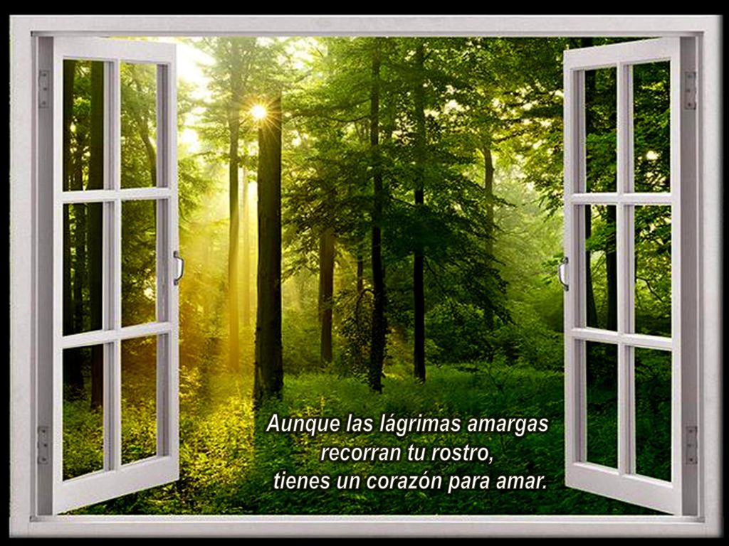 Aunque las lágrimas amargas recorran tu rostro,