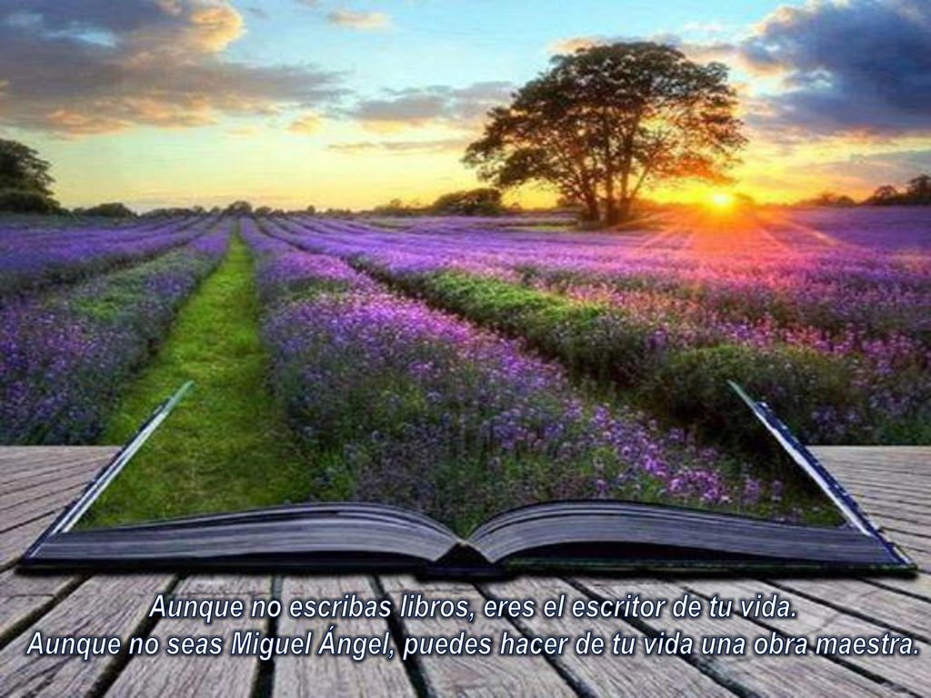 Aunque no escribas libros, eres el escritor de tu vida