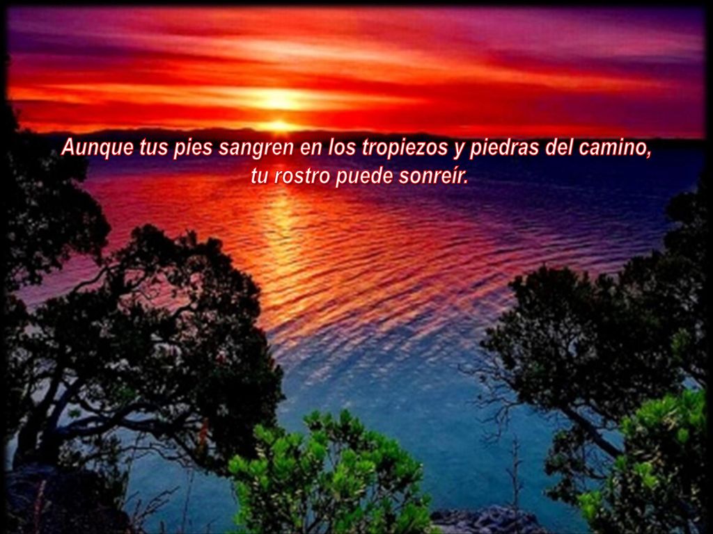 Aunque tus pies sangren en los tropiezos y piedras del camino,