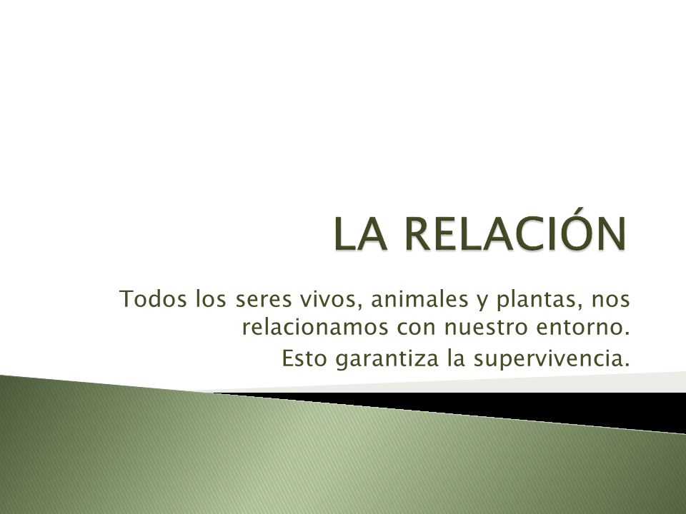 LA RELACIÓN Todos los seres vivos, animales y plantas, nos relacionamos con nuestro entorno.