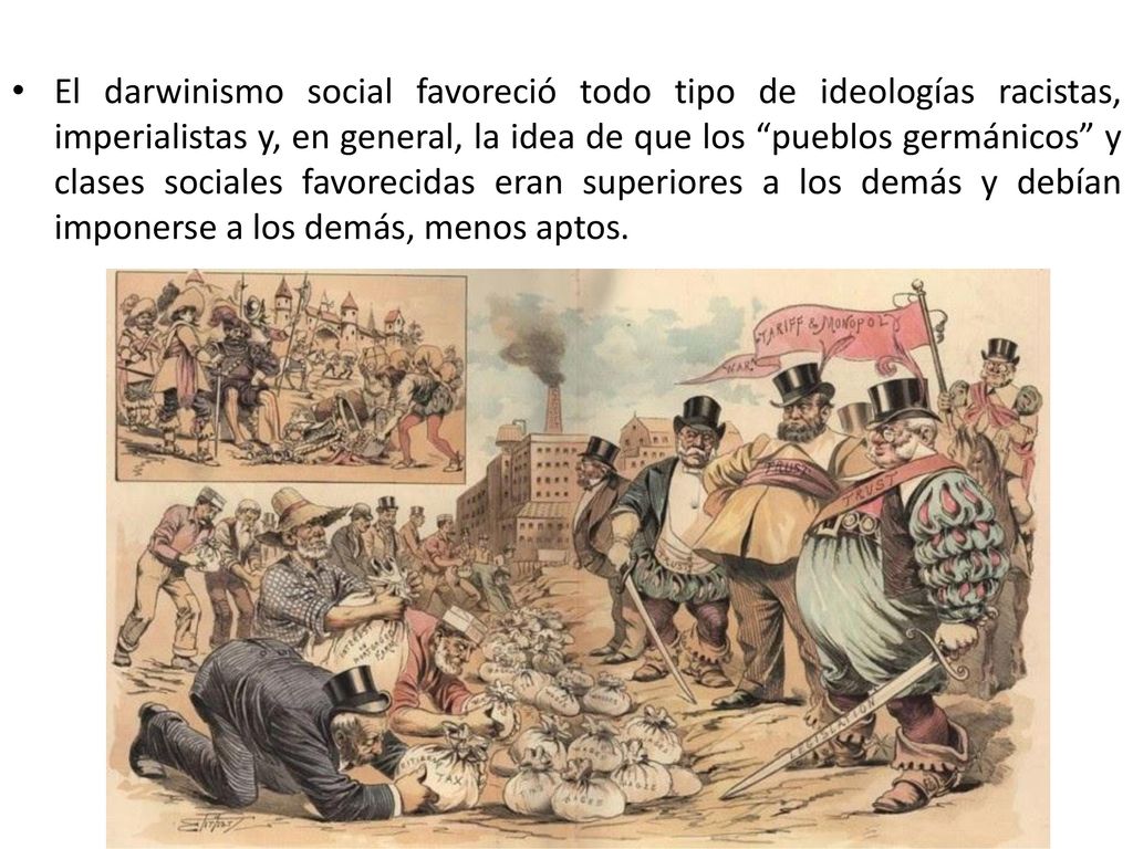 El darwinismo social favoreció todo tipo de ideologías racistas, imperialistas y, en general, la idea de que los pueblos germánicos y clases sociales favorecidas eran superiores a los demás y debían imponerse a los demás, menos aptos.