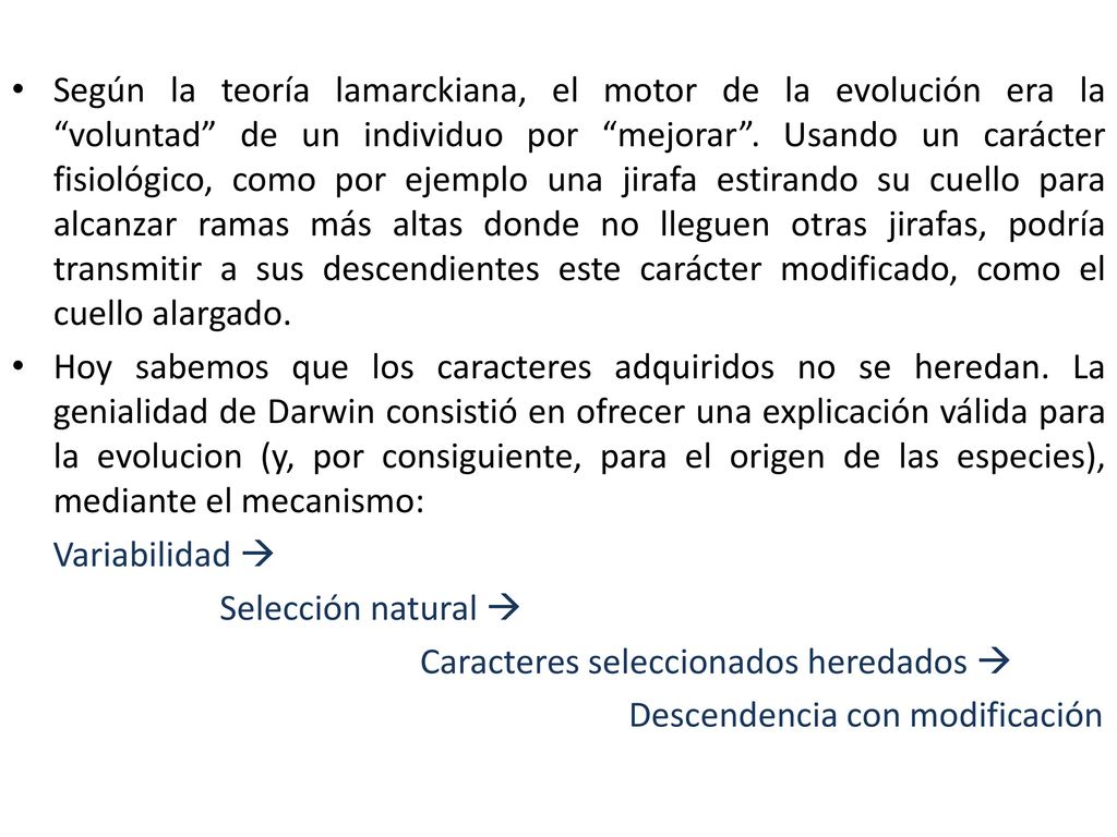 Según la teoría lamarckiana, el motor de la evolución era la voluntad de un individuo por mejorar . Usando un carácter fisiológico, como por ejemplo una jirafa estirando su cuello para alcanzar ramas más altas donde no lleguen otras jirafas, podría transmitir a sus descendientes este carácter modificado, como el cuello alargado.