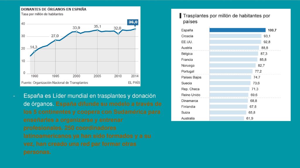 España es Líder mundial en trasplantes y donación de órganos