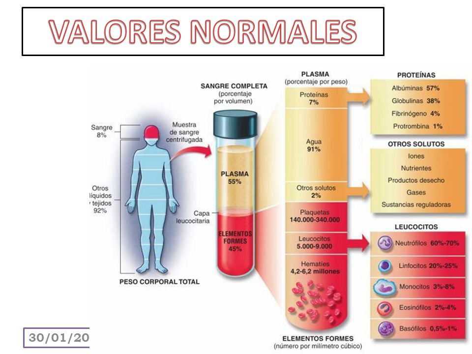 VALORES NORMALES 24/03/2017