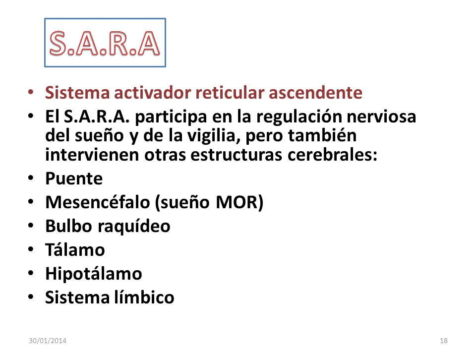 S.A.R.A Sistema activador reticular ascendente